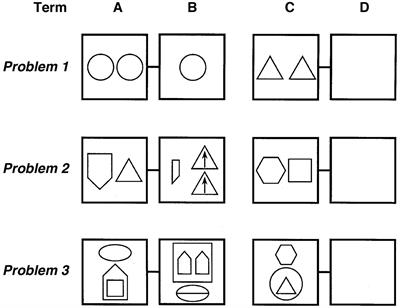 Individual Differences in Relational Learning and Analogical Reasoning: A Computational Model of Longitudinal Change